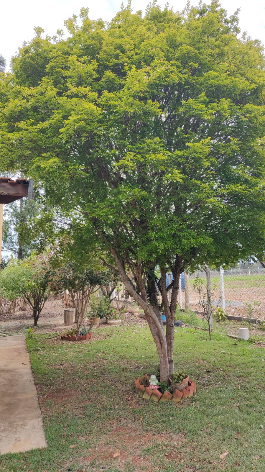 Sítio no Jardim da Graminha - Tiengo - A sua imobiliária em Limeira