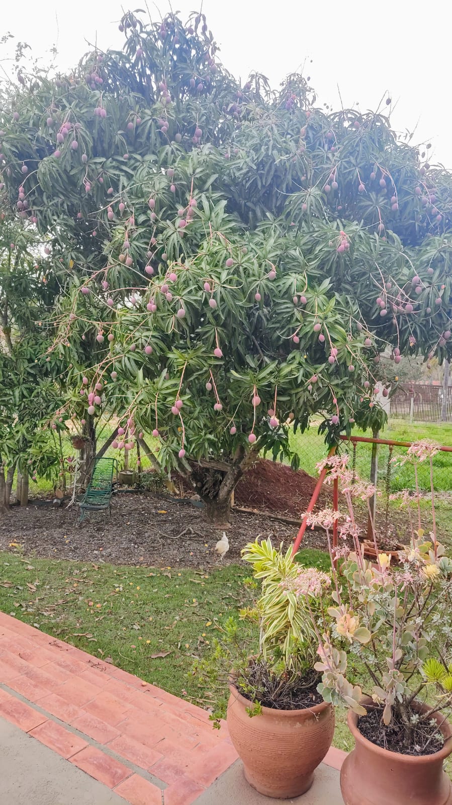 Sítio no Jardim da Graminha - Tiengo - A sua imobiliária em Limeira